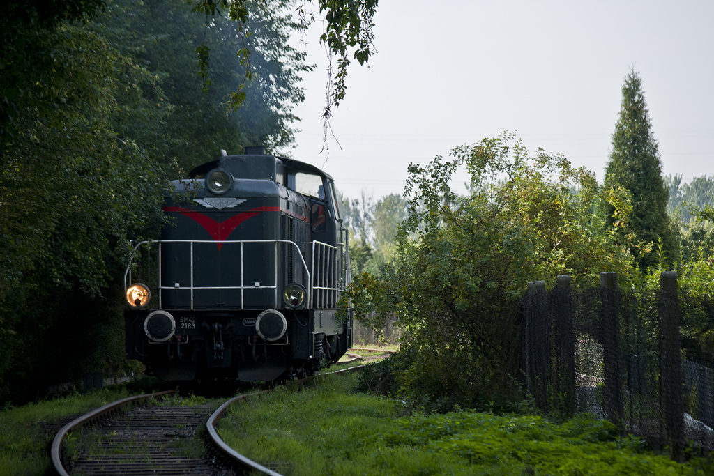 SM42-2163 [Wiskol / del. Lotos Kolej]
