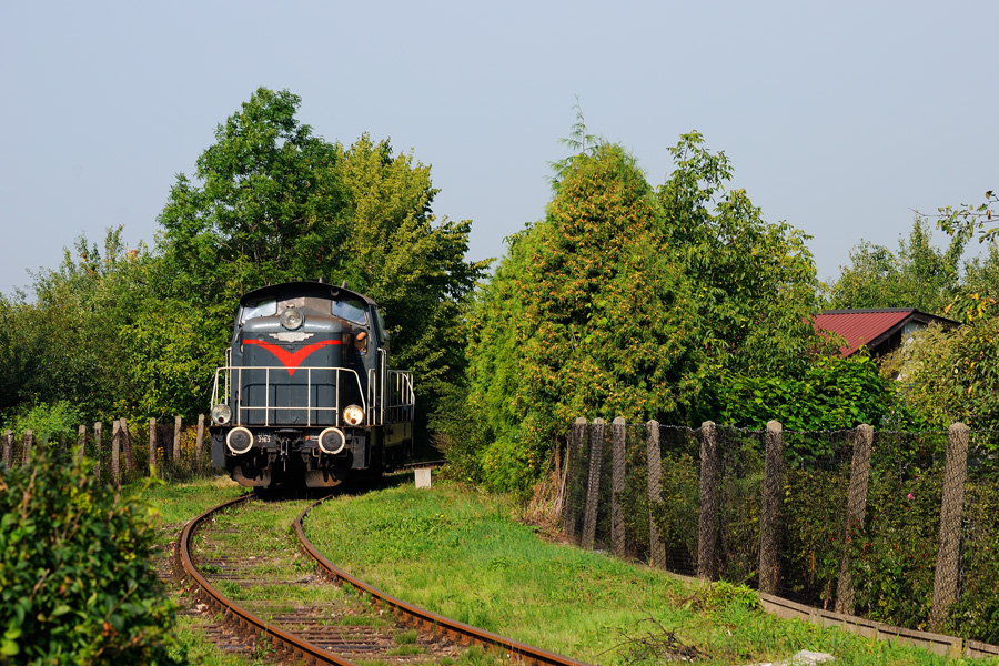 SM42-2163 [Wiskol / del. Lotos Kolej]