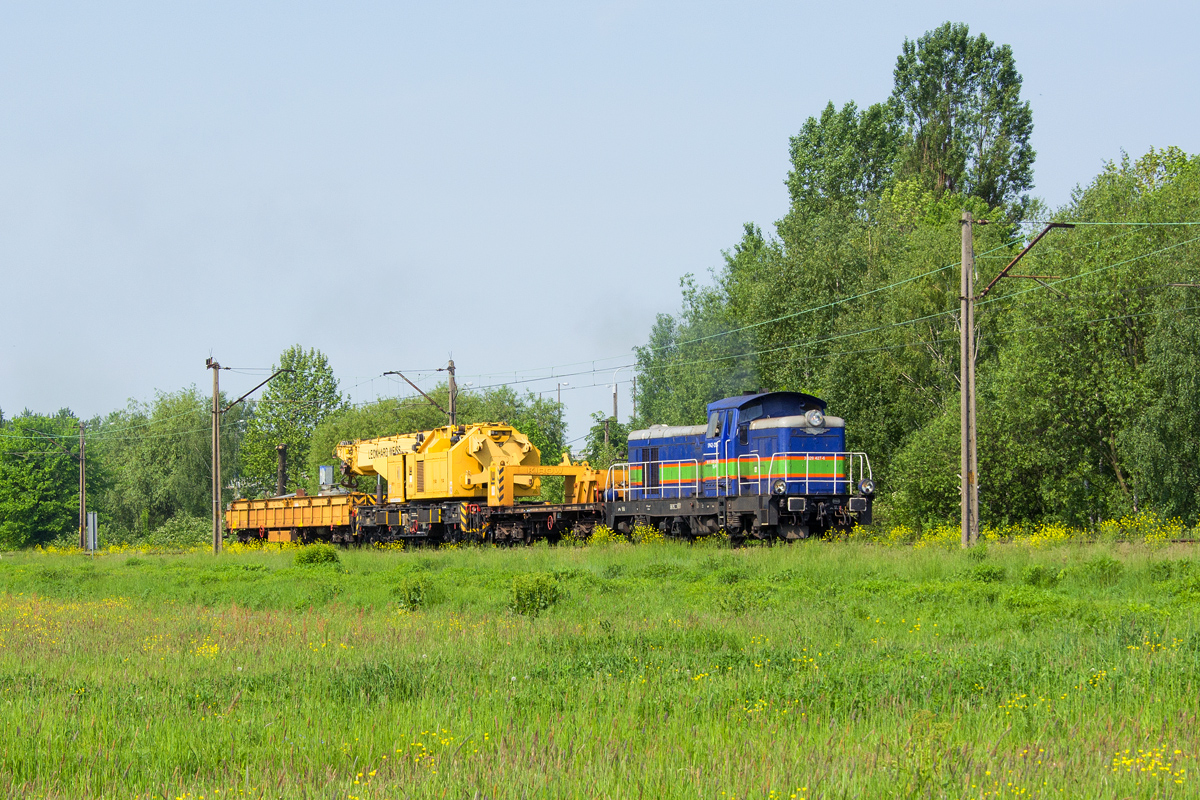 SM42-2196 [Captrain Polska]