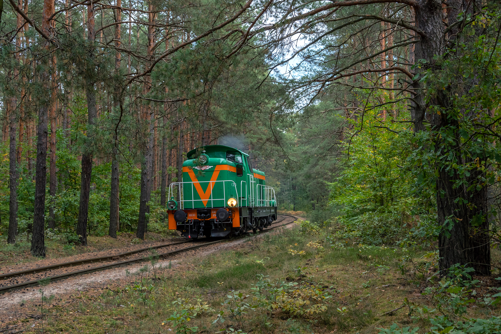 SM42-2501 [Tomaszowskie Kopalnie Surowców Mineralnych BIAŁA GÓRA - Jeleń]