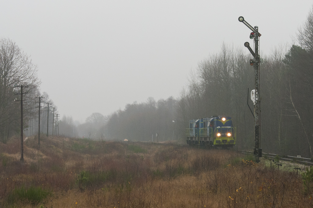 SM31-113 [PKP Cargo]