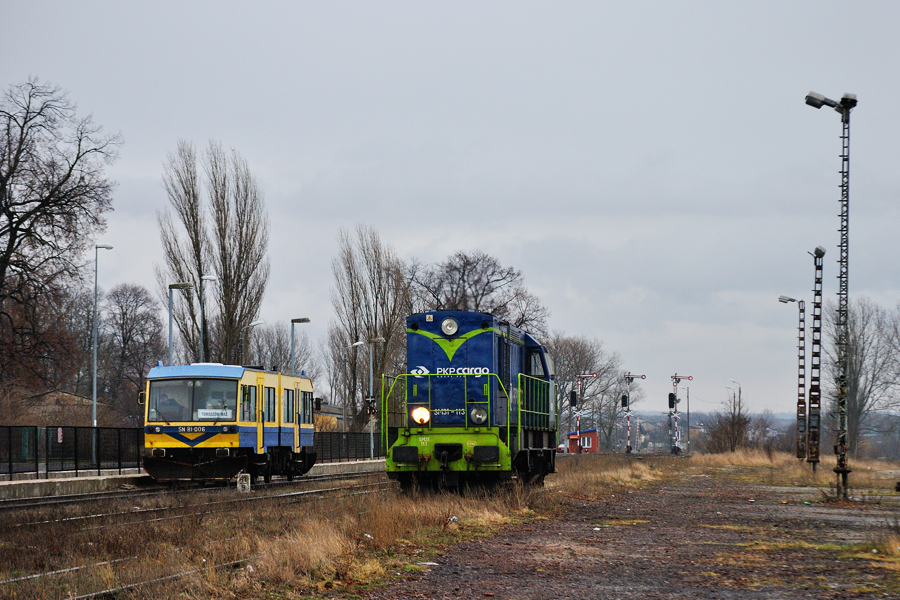 SM31-113 [PKP Cargo]