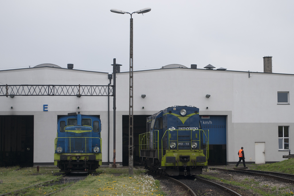 SM31-113 [PKP Cargo]