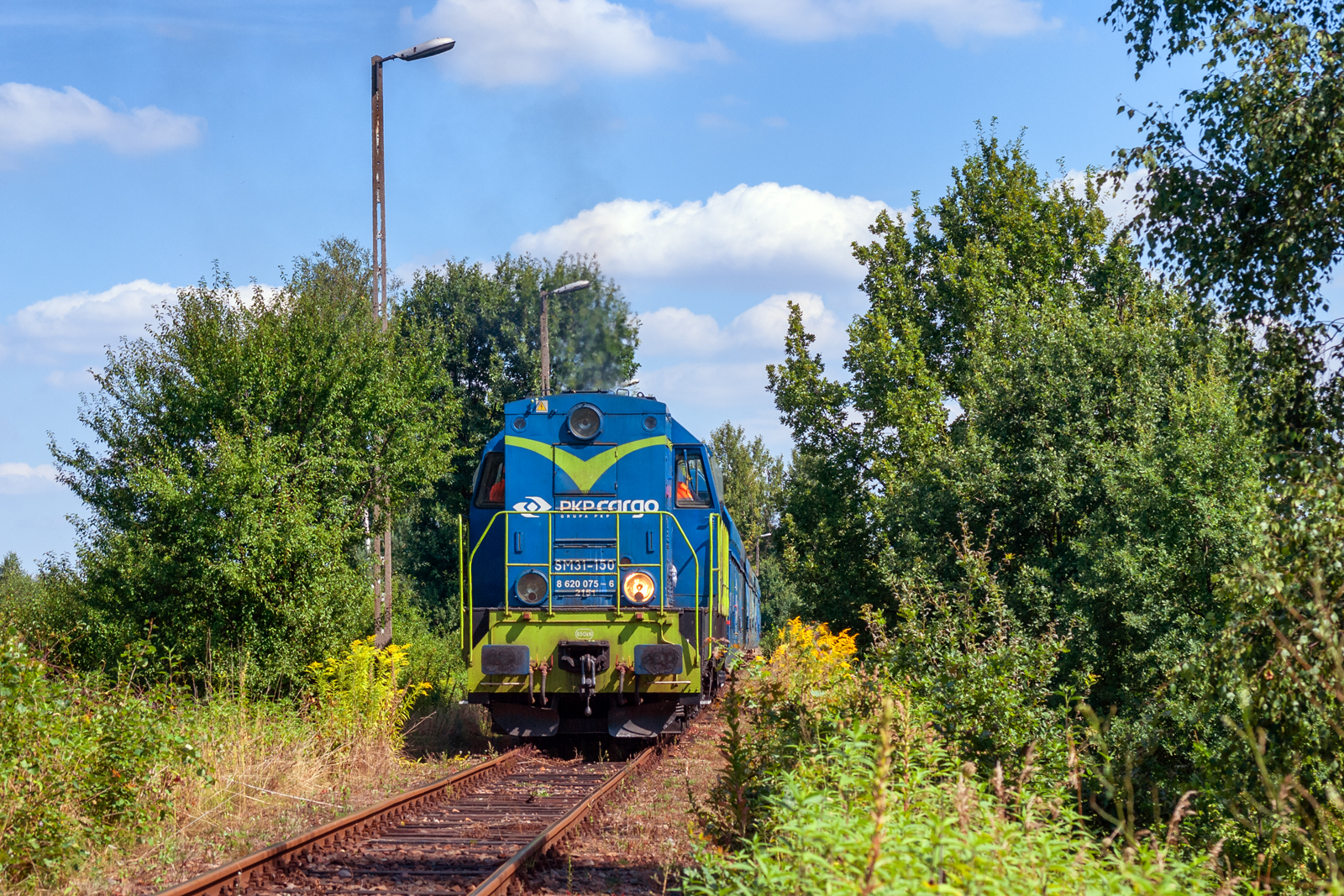 SM31-150 [PKP Cargo]