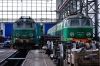 ET22-975 [PKP Cargo]