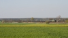 ET22-986 [PKP Cargo]