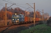 ET22-1119 [PKP Cargo]