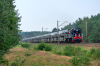 TEM2-168 [Ecco Rail]