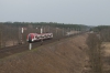 EN76-033 [Koleje Wielkopolskie]