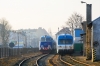 SU45-115 [Stowarzyszenie Kolejowych Przewozów Lokalnych]