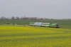 SU45-115 [Przewozy Regionalne]