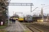 182 013-3 [CTL Logistics]