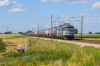 182 037-2 [CTL Logistics]