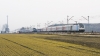 E186 275-4 [DB Fernverkehr AG]