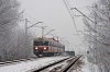 EN57-1768 [Przewozy Regionalne]