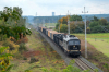 BR232-781 [Dolata]