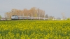 E186 143-4 [DB Fernverkehr AG]