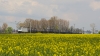 186 261-4  [Akiem SNCF / del. Orlen KolTrans]