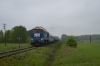 M62-2006 [ZIK Sandomierz]