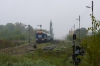 M62-2006 [ZIK Sandomierz]