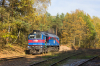 M62-2006 [ZIK Sandomierz]