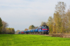 M62-2006 [ZIK Sandomierz]