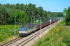 131 009-3 / 131 010-1 [InterCargo]