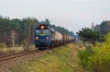 ST44-1229 [PKP Cargo]