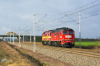 M62-1684 [Orlen KolTrans]