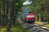 SM42-349 [Przewozy Regionalne]