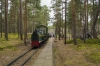 Wls40-291 [Muzeum Obrony Wybrzeża]