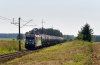 E483-201 [Pol-Miedź Trans]