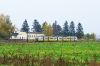 EN57AL-1542 [Koleje Dolnośląskie]
