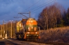 TEM2-039 [Pol-Miedź Trans]