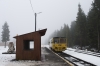 810 602-3 [GW Train Regio]
