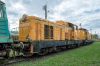 SM42