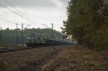 ET41-197 [PKP Cargo]