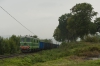 ST43-217 [PKP Cargo]