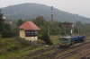 ST43-217 [PKP Cargo]