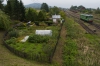 ST43-217 [PKP Cargo]