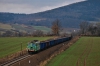 ST43-217 [PKP Cargo]