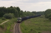 ST43-217 [PKP Cargo]