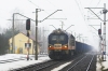 311D-09 [ZIK Sandomierz]