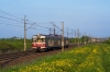 EN57-1255 [Przewozy Regionalne]