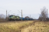 ET41-184 [PKP Cargo]