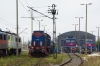 TEM2-162 [ZIK Sandomierz]