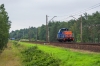 SM42-2126 [Lotos Kolej]
