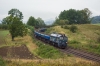 ST44-1238 [PKP Cargo]
