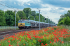 EU07-241 [PKP Cargo]