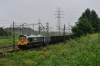 #66010 [Freightliner PL]